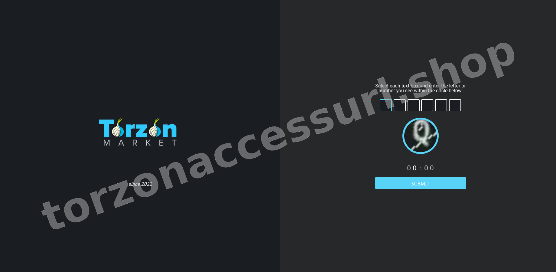 DDoS Protection Screen